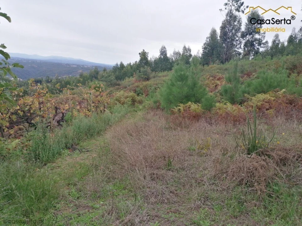 Moradia T0 para Venda em Cernache do Bonjardim, Nesperal e Palhais Foto 4