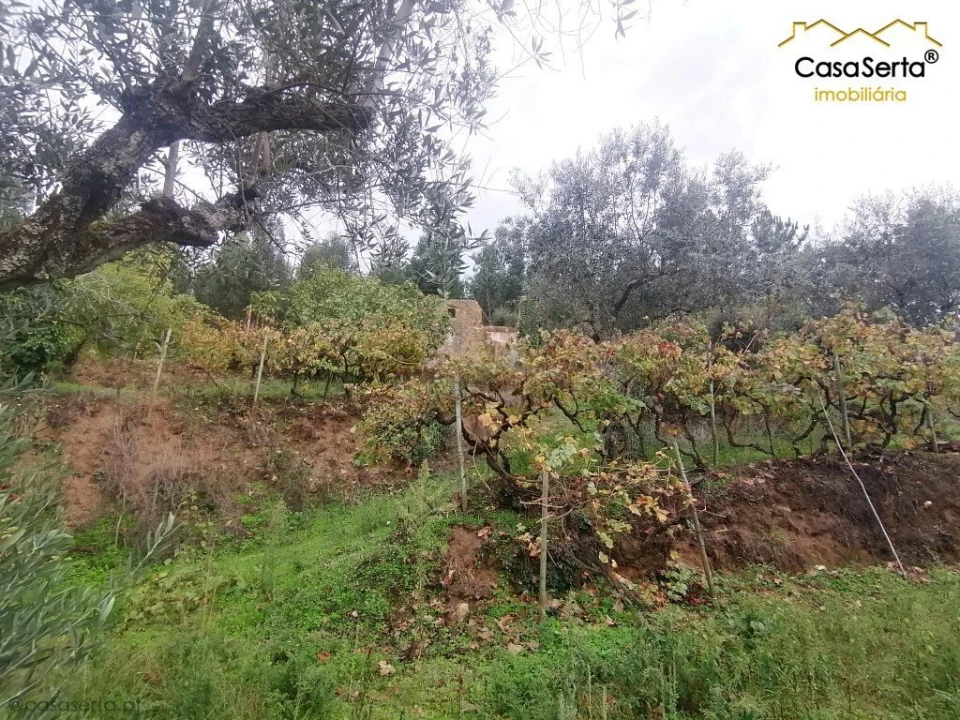 Moradia T0 para Venda em Cernache do Bonjardim, Nesperal e Palhais Foto 9