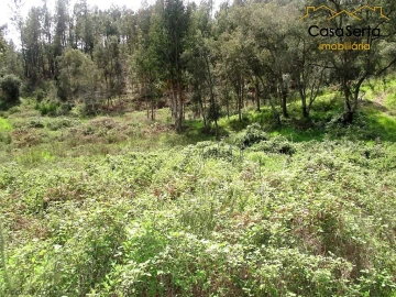 Terreno para Venda em Cernache do Bonjardim, Nesperal e Palhais