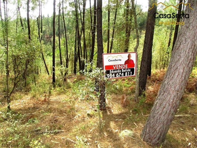 Terreno para Venda em Cernache do Bonjardim, Nesperal e Palhais Foto 4