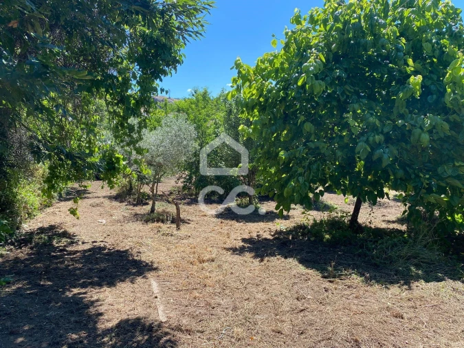 Moradia T3 para Venda em Ribeiros Foto 26