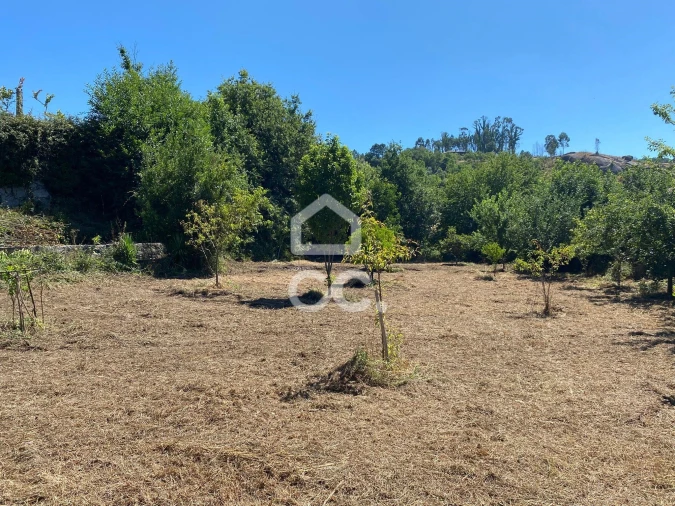 Moradia T3 para Venda em Ribeiros Foto 25