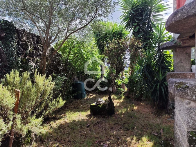 Moradia T3 para Venda em Ribeiros Foto 6