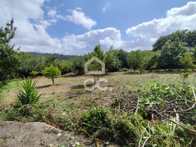 Moradia T3 para Venda em Ribeiros Foto 27