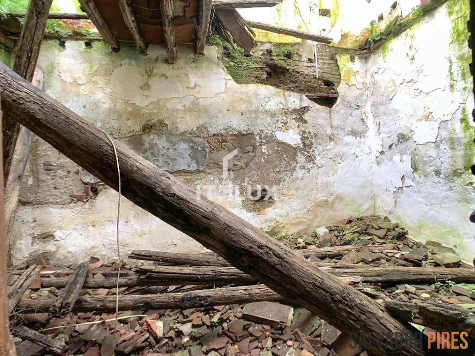 Terreno para Venda em São João Baptista Foto 10