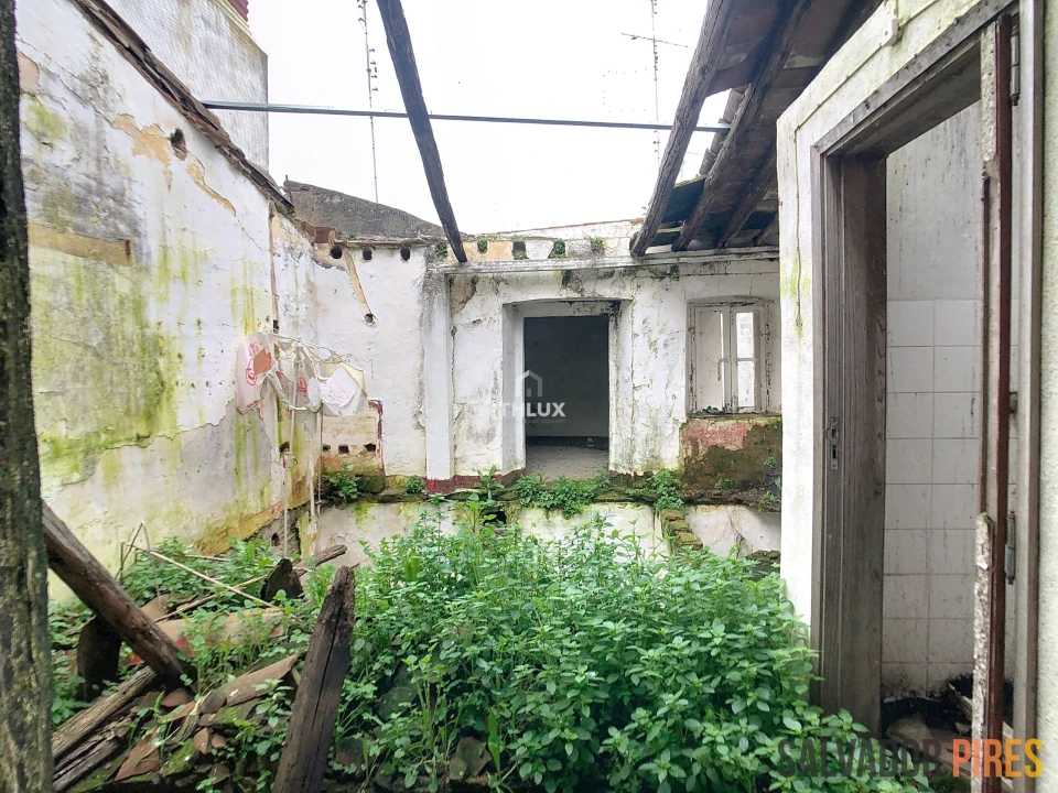 Terreno para Venda em São João Baptista Foto 11