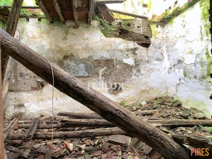 Terreno para Venda em São João Baptista Foto 7