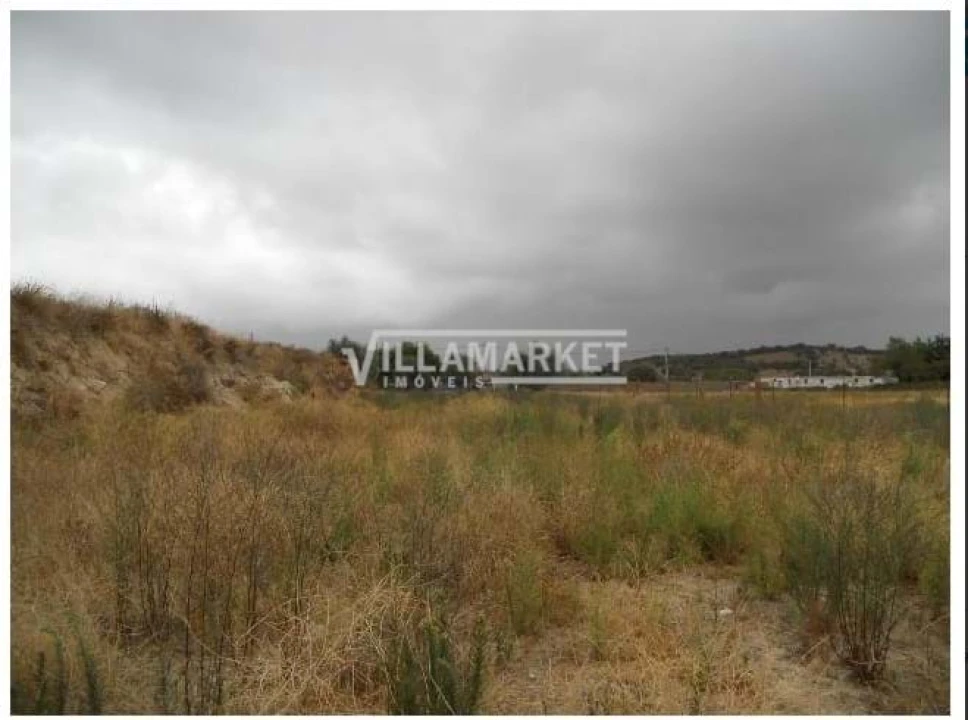 Terreno para Venda em Alvito Foto 2