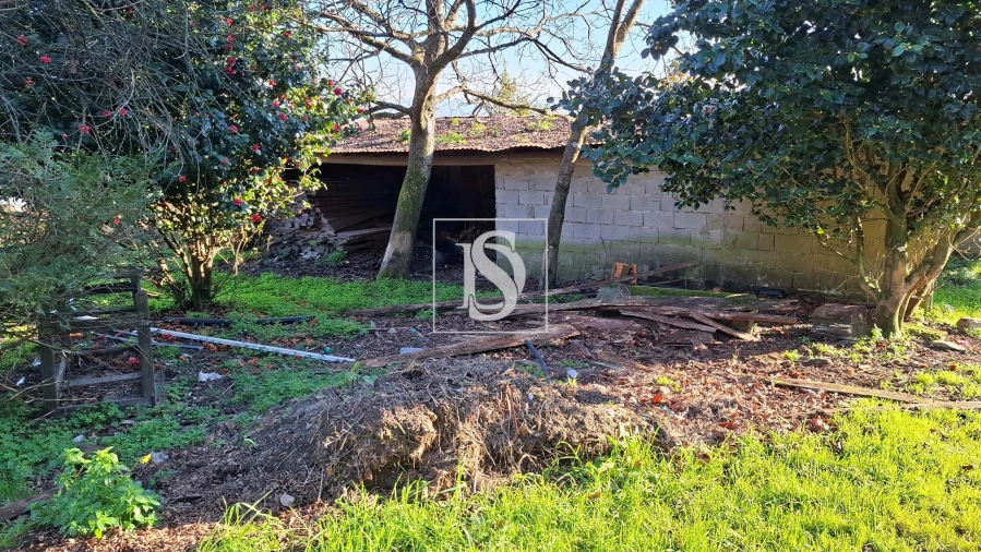 Quinta T13 para Venda em Oliveira, São Paio e São Sebastião Foto 10