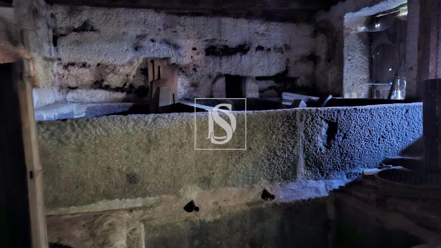 Quinta T13 para Venda em Oliveira, São Paio e São Sebastião Foto 8