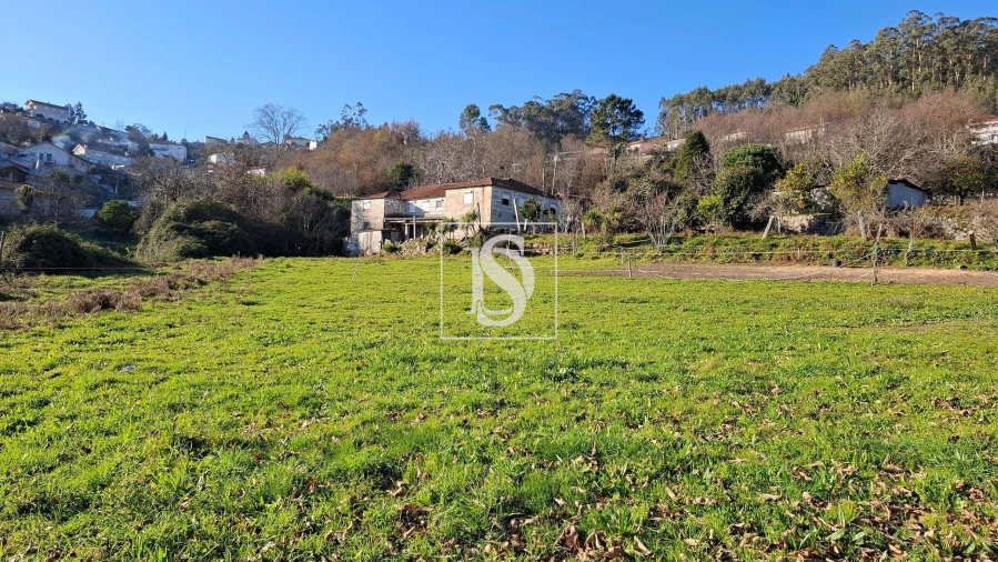 Quinta T13 para Venda em Oliveira, São Paio e São Sebastião Foto 3