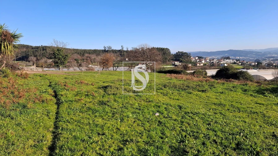 Quinta T13 para Venda em Oliveira, São Paio e São Sebastião Foto 5