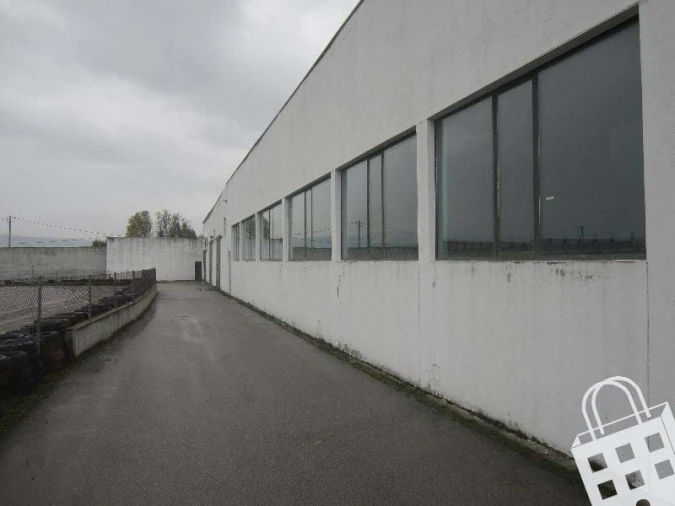 Negócio para Venda em Madalena e Samaiões Foto 5