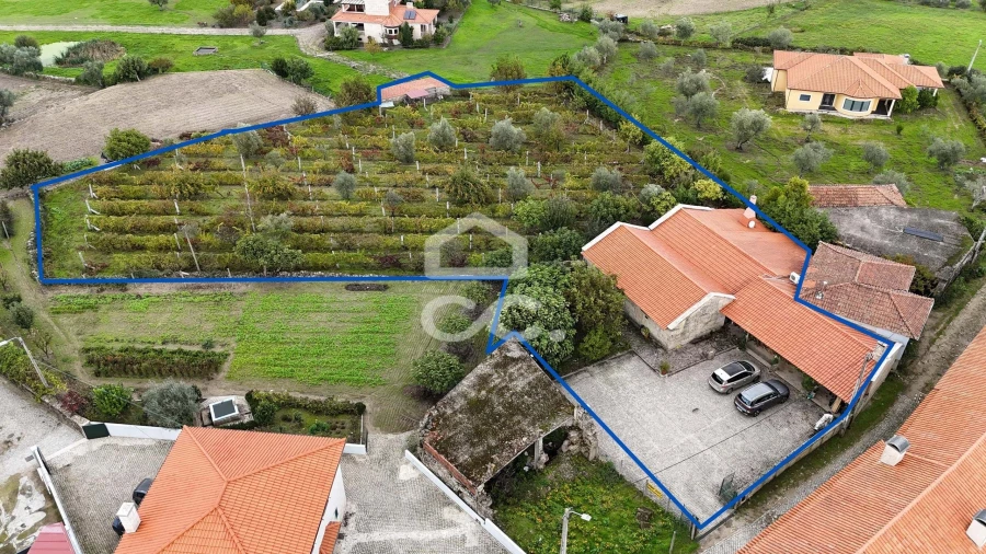 Negócio para Venda em Redondelo Foto 1