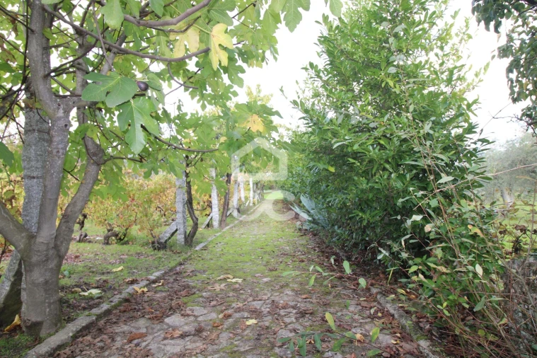 Negócio para Venda em Redondelo Foto 38