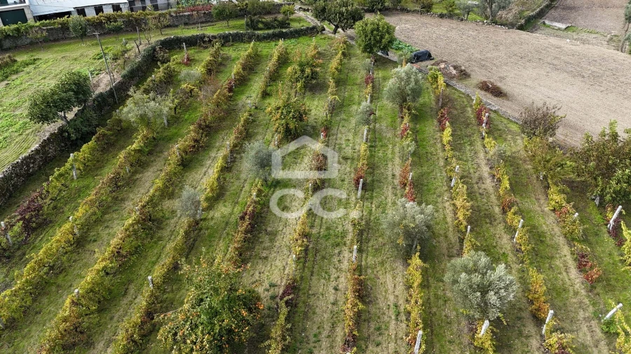 Negócio para Venda em Redondelo Foto 42