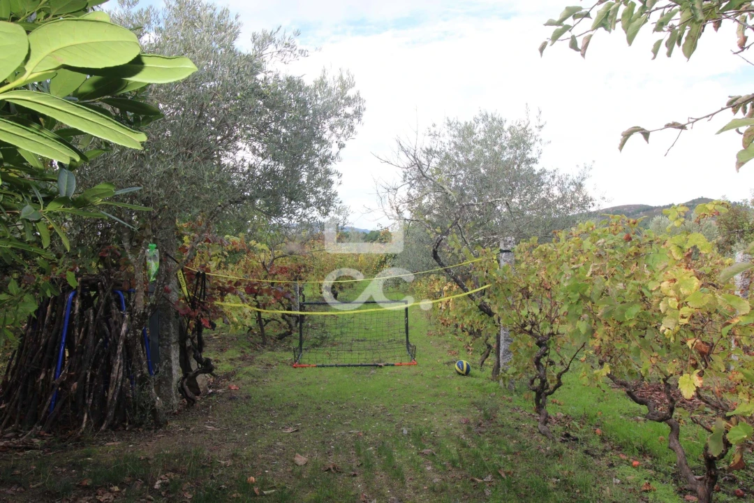 Negócio para Venda em Redondelo Foto 37