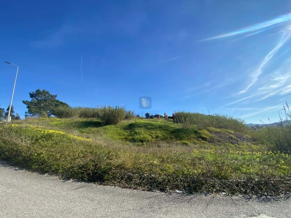 Terreno para Venda em Lourinhã e Atalaia Foto 16