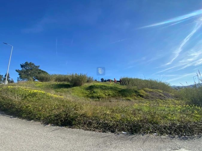 Terreno para Venda em Lourinhã e Atalaia Foto 16
