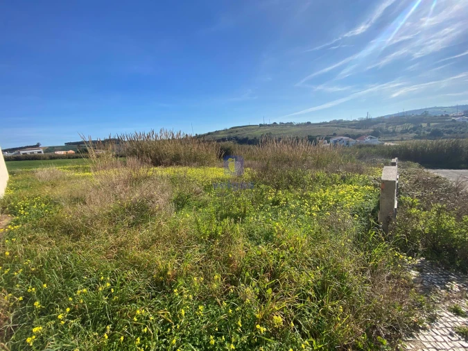 Terreno para Venda em Lourinhã e Atalaia Foto 7