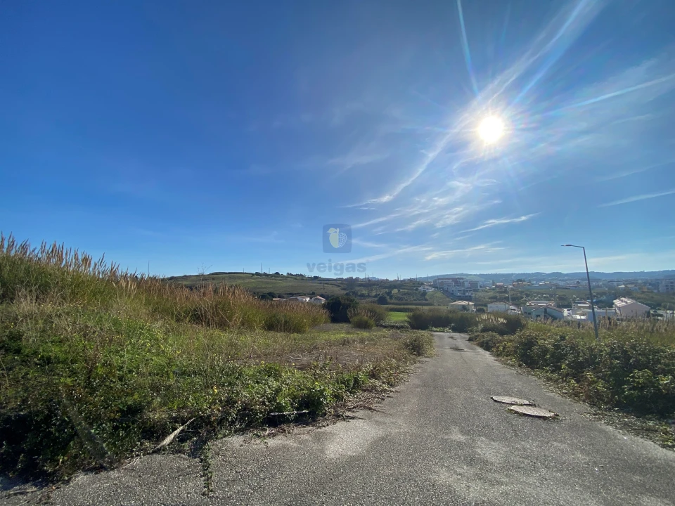 Terreno para Venda em Lourinhã e Atalaia Foto 2