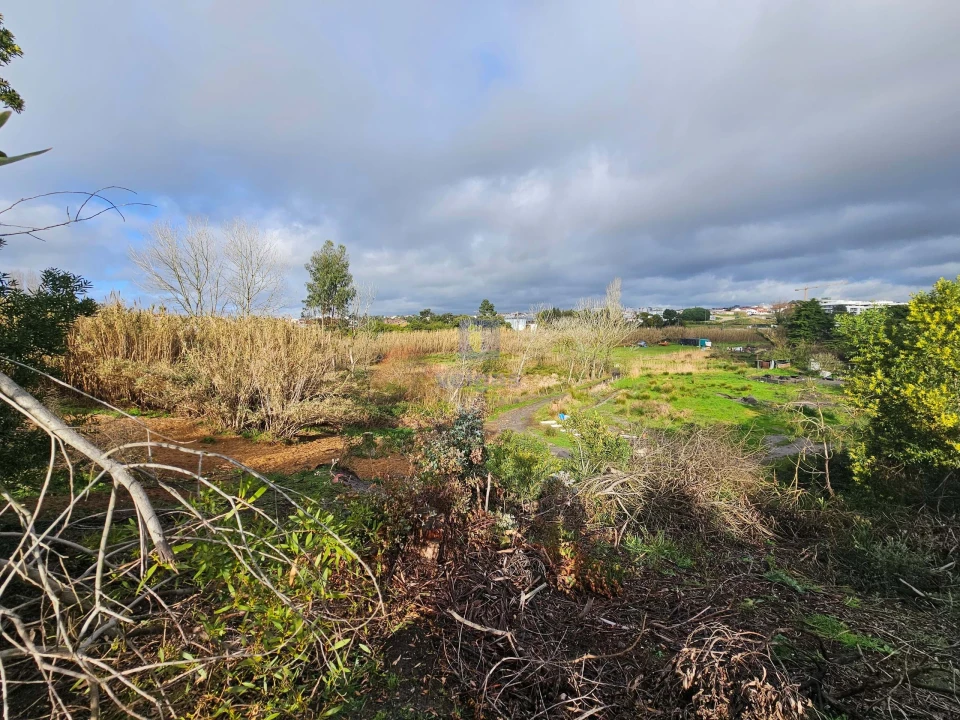 Terreno para Venda em Caldas da Rainha - Santo Onofre e Serra do Bouro Foto 10