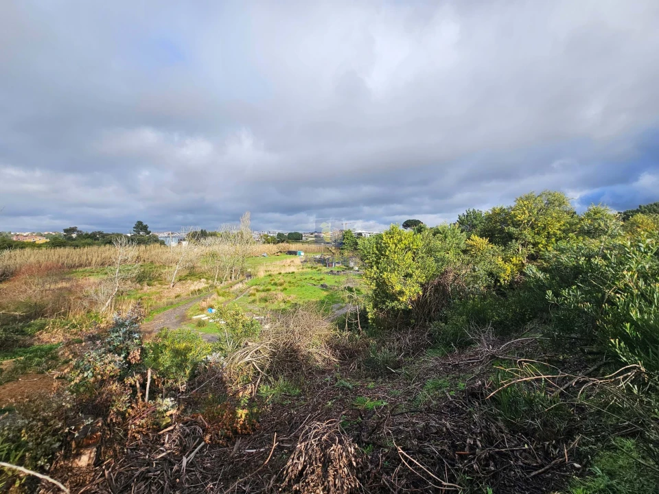 Terreno para Venda em Caldas da Rainha - Santo Onofre e Serra do Bouro Foto 11