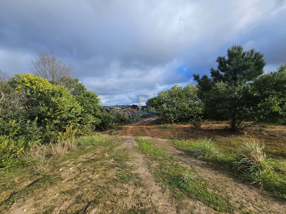 Terreno para Venda em Caldas da Rainha - Santo Onofre e Serra do Bouro Foto 3
