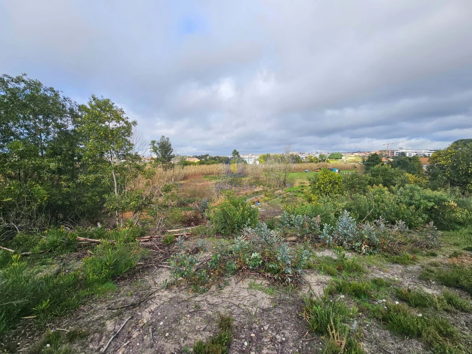 Terreno para Venda em Caldas da Rainha - Santo Onofre e Serra do Bouro Foto 8