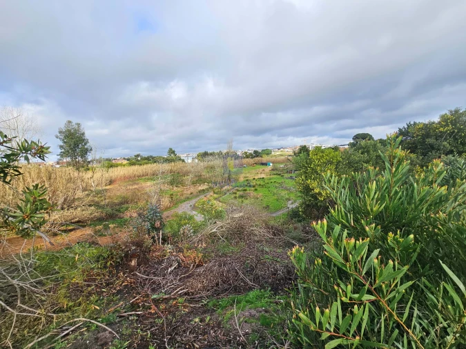 Terreno para Venda em Caldas da Rainha - Santo Onofre e Serra do Bouro Foto 9