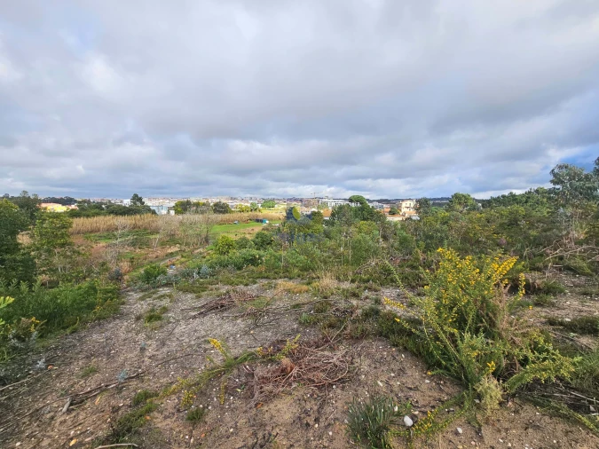 Terreno para Venda em Caldas da Rainha - Santo Onofre e Serra do Bouro Foto 7