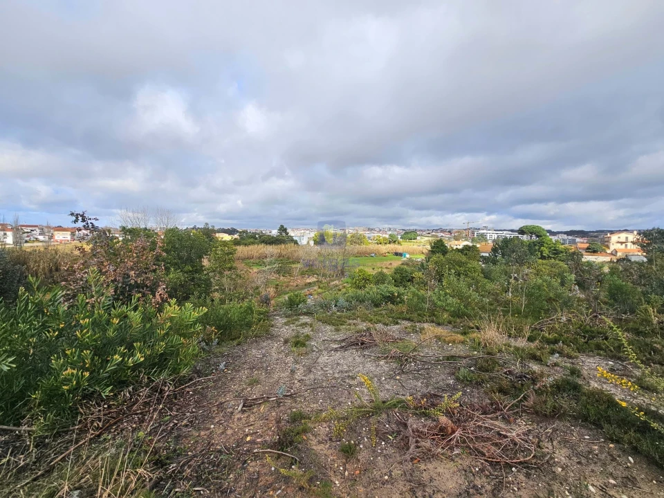 Terreno para Venda em Caldas da Rainha - Santo Onofre e Serra do Bouro Foto 13