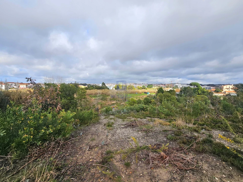 Terreno para Venda em Caldas da Rainha - Santo Onofre e Serra do Bouro Foto 5