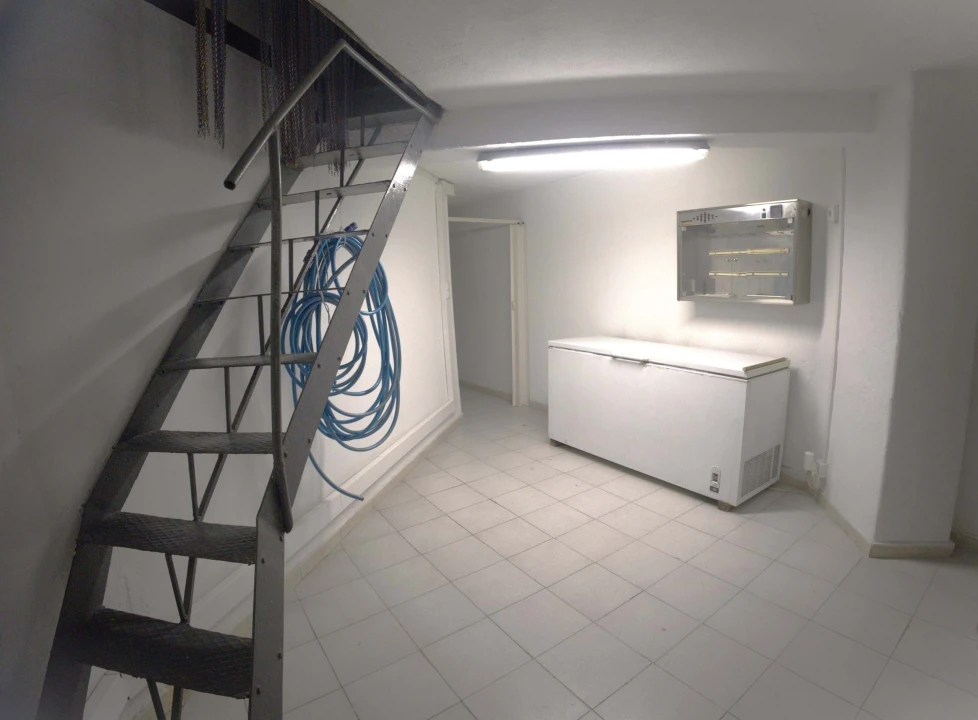 Negócio para Arrendamento em Alvalade Foto 9