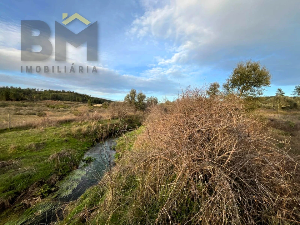 Terreno Agricola ou Rústico para Venda em Freixial e Juncal do Campo Foto 11