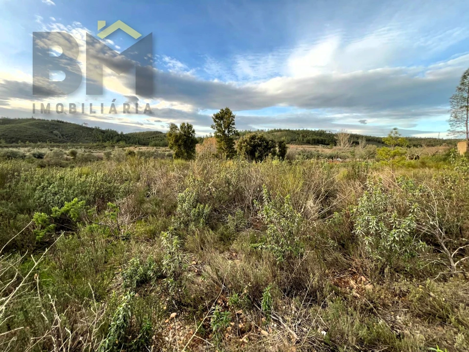 Terreno Agricola ou Rústico para Venda em Freixial e Juncal do Campo Foto 7