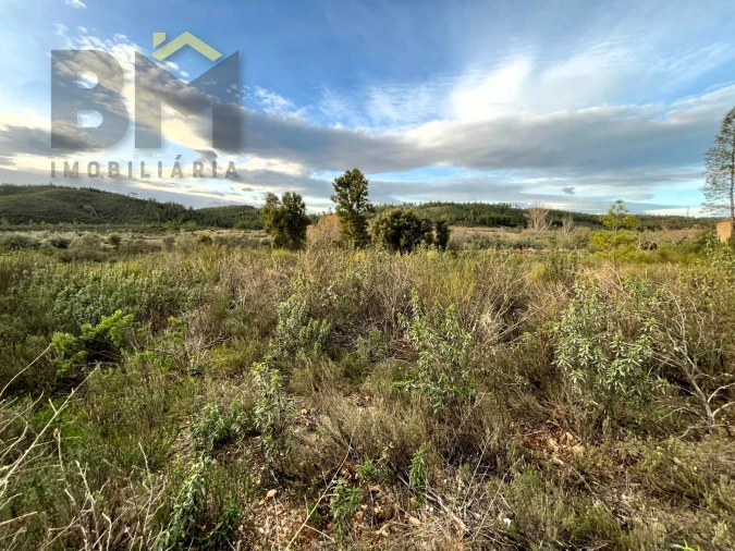 Terreno Agricola ou Rústico para Venda em Freixial e Juncal do Campo Foto 7