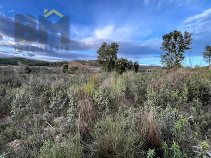 Terreno Agricola ou Rústico para Venda em Freixial e Juncal do Campo Foto 3