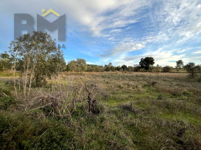 Terreno Agricola ou Rústico para Venda em Freixial e Juncal do Campo Foto 10