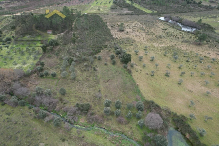 Terreno Agricola ou Rústico para Venda em Freixial e Juncal do Campo