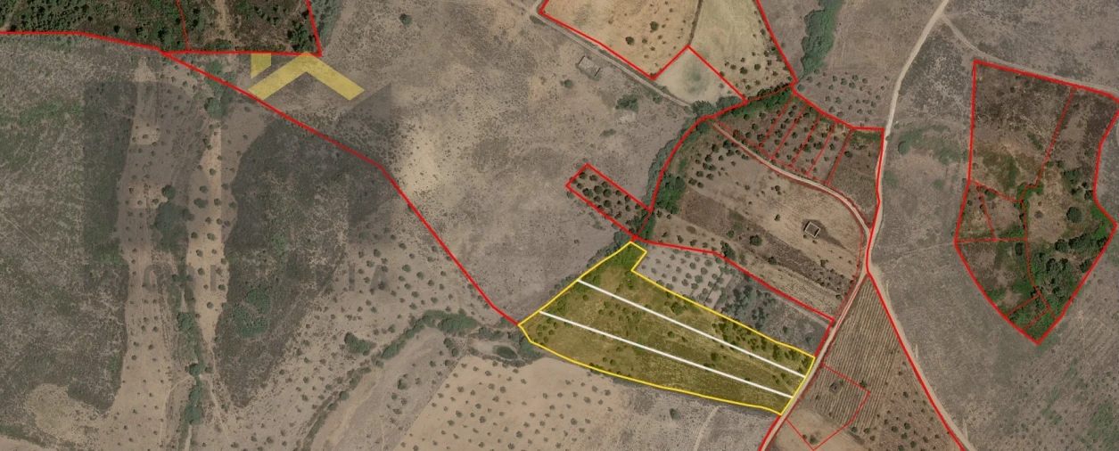 Terreno Agricola ou Rústico para Venda em Freixial e Juncal do Campo Foto 12