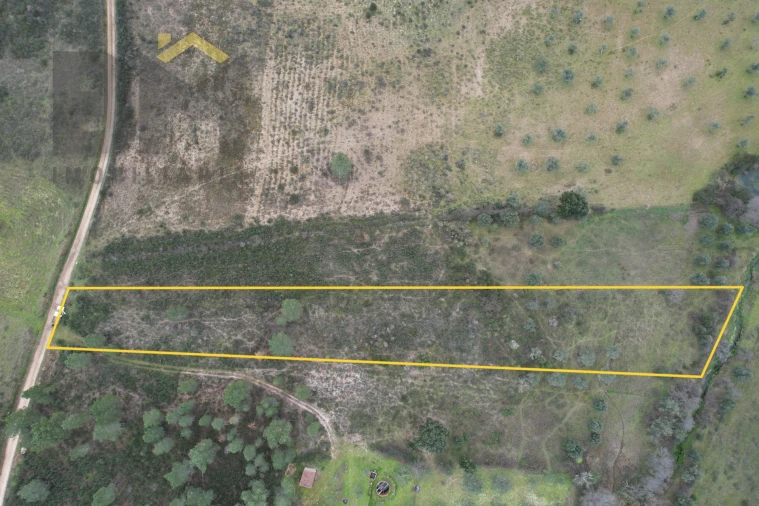 Terreno Agricola ou Rústico para Venda em Freixial e Juncal do Campo Foto 2