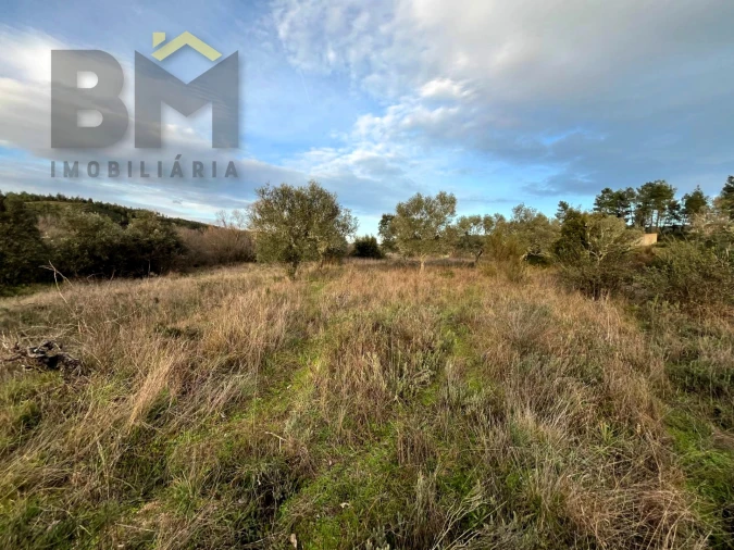 Terreno Agricola ou Rústico para Venda em Freixial e Juncal do Campo Foto 6