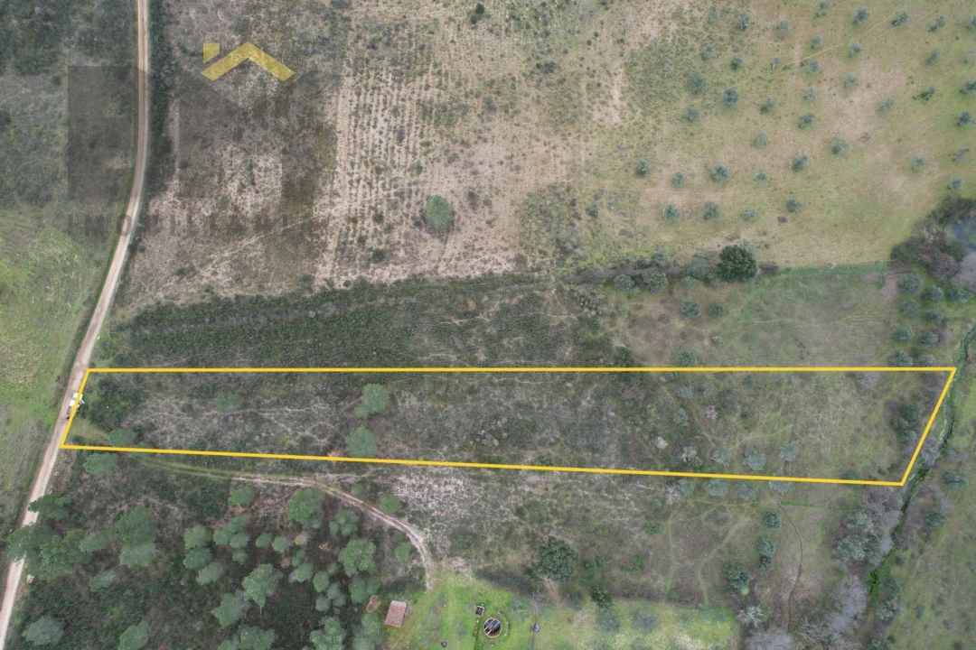 Terreno Agricola ou Rústico para Venda em Freixial e Juncal do Campo Foto 2