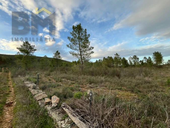 Terreno Agricola ou Rústico para Venda em Freixial e Juncal do Campo Foto 4