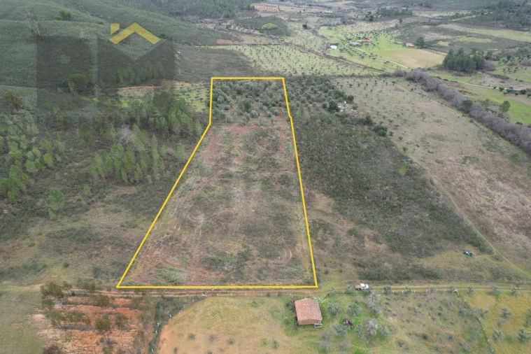 Terreno Agricola ou Rústico para Venda em Freixial e Juncal do Campo Foto 1