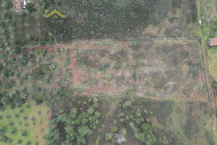 Terreno Agricola ou Rústico para Venda em Freixial e Juncal do Campo Foto 2
