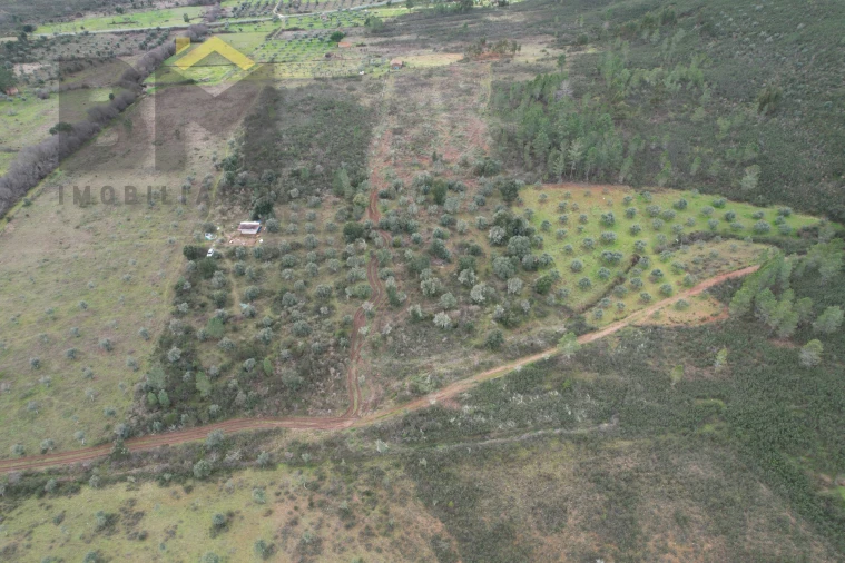 Terreno Agricola ou Rústico para Venda em Freixial e Juncal do Campo Foto 3