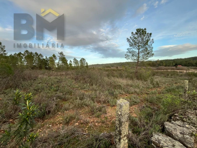 Terreno Agricola ou Rústico para Venda em Freixial e Juncal do Campo Foto 5