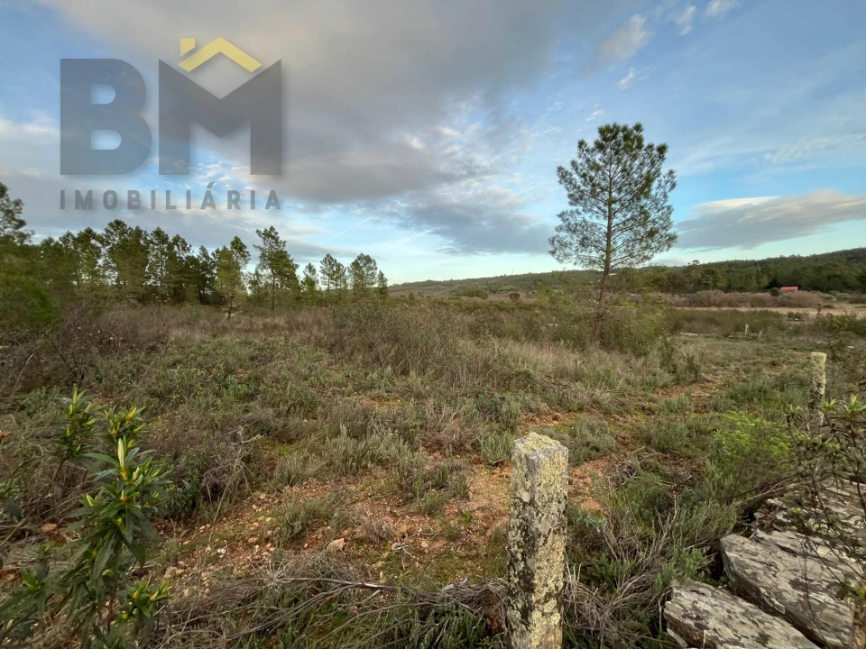 Terreno Agricola ou Rústico para Venda em Freixial e Juncal do Campo Foto 5